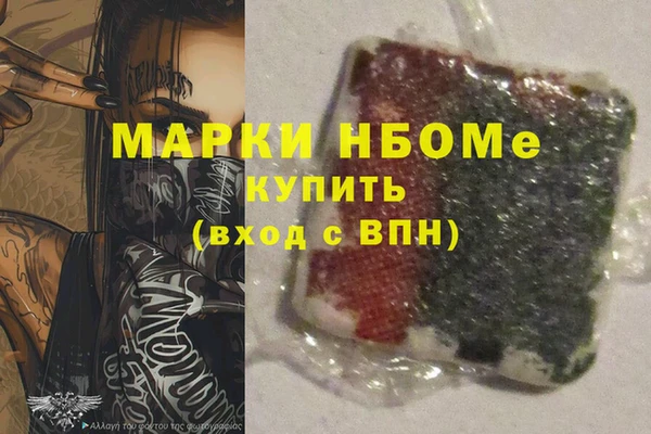 гашик Пестово