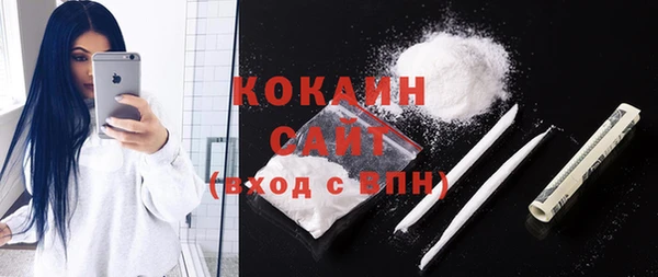 гашик Пестово