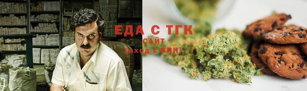 гашик Пестово