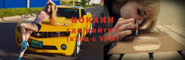 гашик Пестово