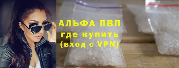 гашик Пестово