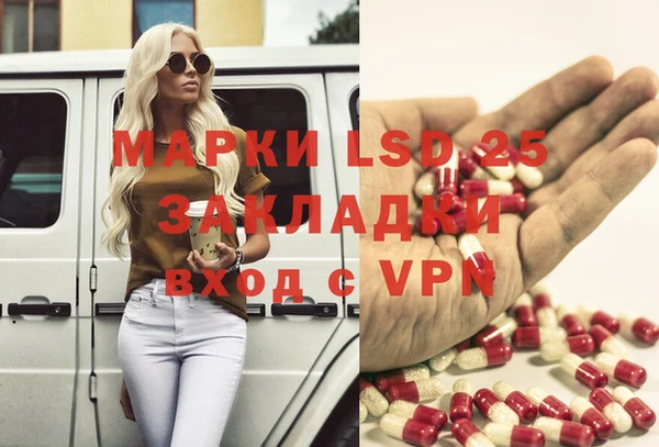 гашик Пестово