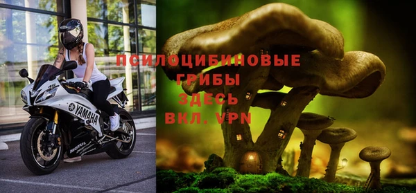 винт Покровск