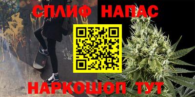 МДПВ Камышлов