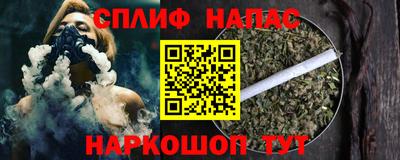 МДПВ Камышлов