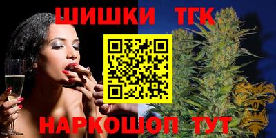 МДПВ Камышлов