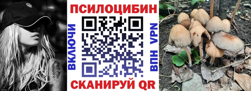Псилоцибиновые грибы Cubensis  как найти наркотики  Барабинск 